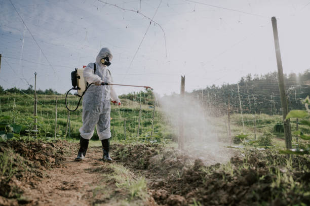 Best Local Pest Control Services  in Ponderosa Pine, NM